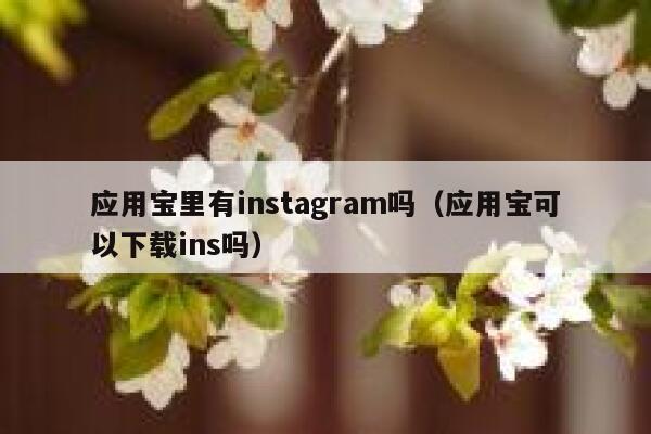 应用宝里有instagram吗（应用宝可以下载ins吗） 第1张