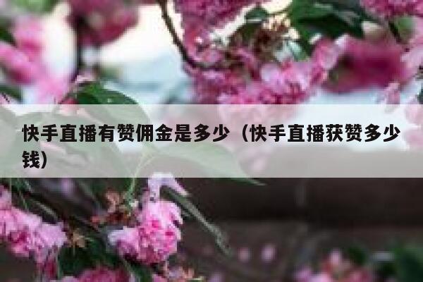 快手直播有赞佣金是多少（快手直播获赞多少钱） 第1张