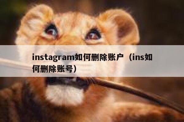 instagram如何删除账户（ins如何删除账号） 第1张