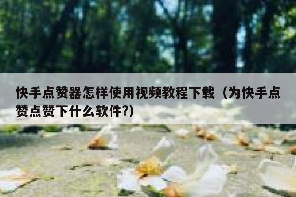 快手点赞器怎样使用视频教程下载（为快手点赞点赞下什么软件?） 第1张