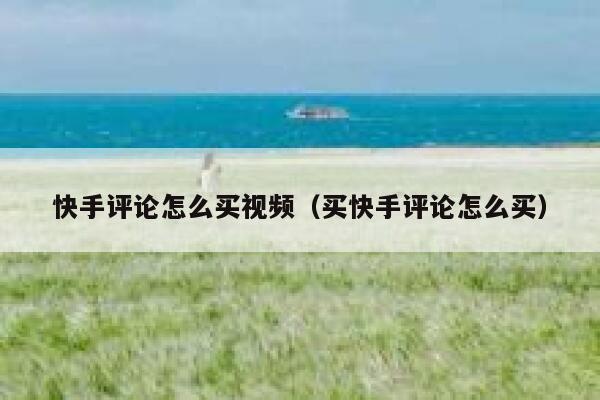 快手评论怎么买视频（买快手评论怎么买） 第1张