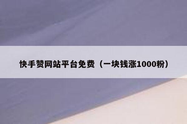 快手赞网站平台免费（一块钱涨1000粉） 第1张