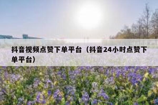 抖音视频点赞下单平台（抖音24小时点赞下单平台） 第1张
