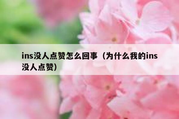 ins没人点赞怎么回事（为什么我的ins没人点赞） 第1张
