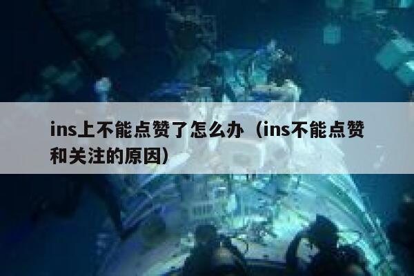 ins上不能点赞了怎么办(ins不能点赞和关注的原因) 第1张 ins上不能点赞了怎么办(ins不能点赞和关注的原因) 第1张