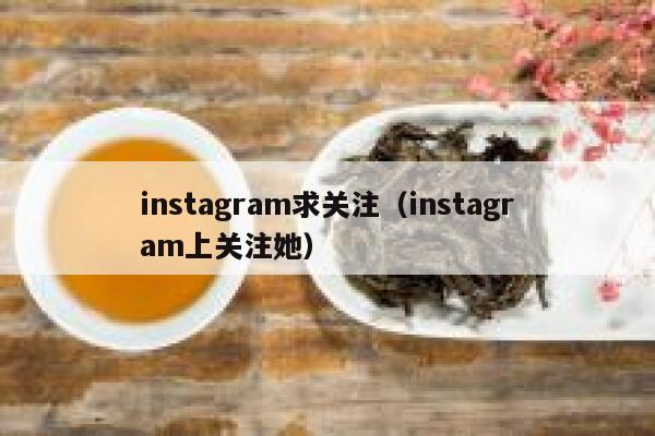 instagram求关注（instagram上关注她） 第1张