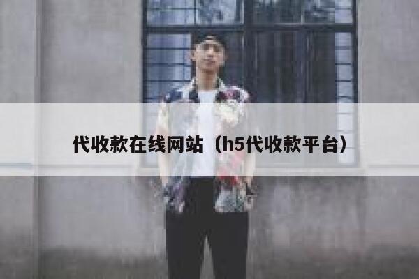 代收款在线网站（h5代收款平台） 第1张
