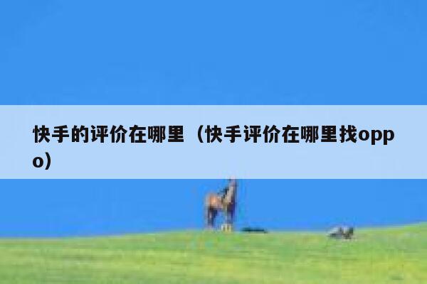 快手的评价在哪里（快手评价在哪里找oppo） 第1张