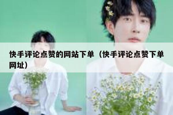 快手评论点赞的网站下单（快手评论点赞下单网址） 第1张