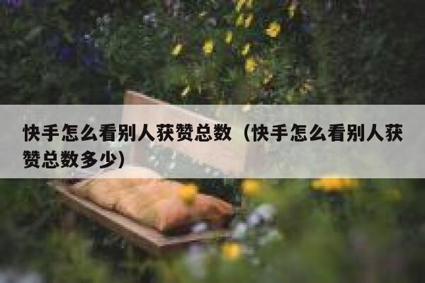 快手怎么看别人获赞总数(快手怎么看别人获赞总数多少) 第1张 快手怎么看别人获赞总数(快手怎么看别人获赞总数多少) 第1张