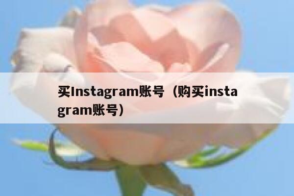 买Instagram账号（购买instagram账号） 第1张