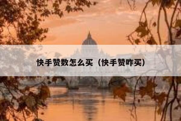 快手赞数怎么买（快手赞咋买） 第1张
