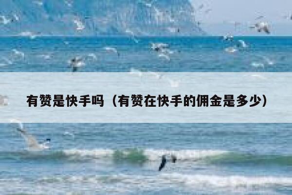 有赞是快手吗（有赞在快手的佣金是多少） 第1张