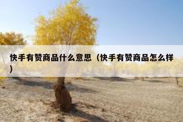 快手有赞商品什么意思（快手有赞商品怎么样） 第1张