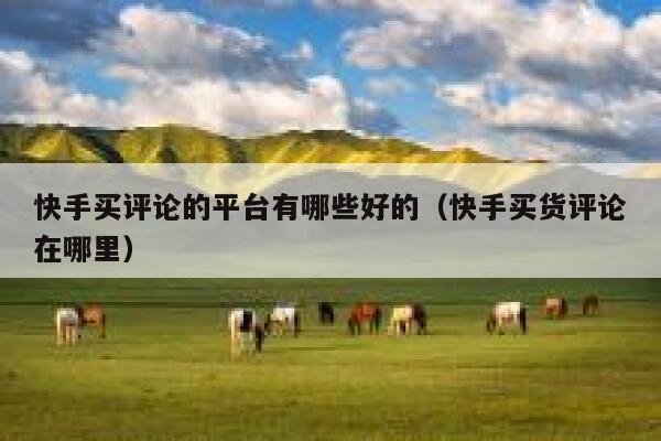 快手买评论的平台有哪些好的（快手买货评论在哪里） 第1张