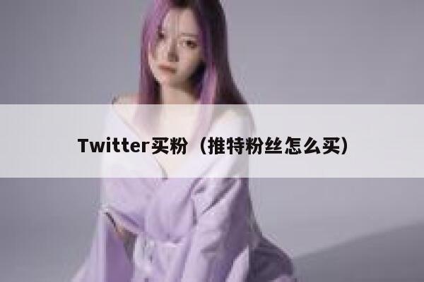 Twitter买粉（推特粉丝怎么买） 第1张