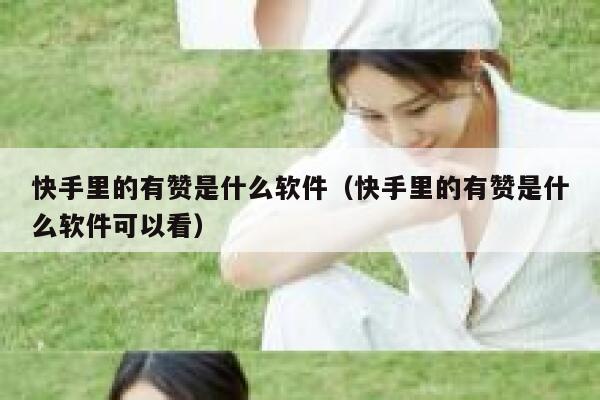 快手里的有赞是什么软件（快手里的有赞是什么软件可以看） 第1张