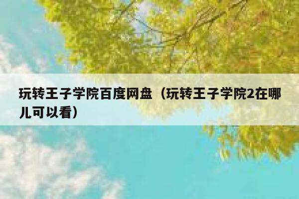 玩转王子学院百度网盘（玩转王子学院2在哪儿可以看） 第1张