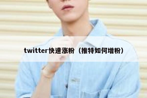 twitter快速涨粉（推特如何增粉） 第1张