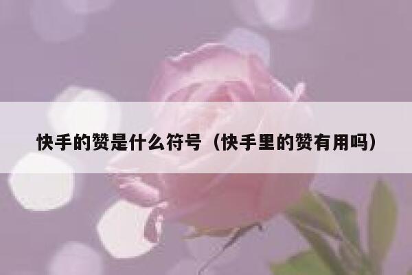 快手的赞是什么符号（快手里的赞有用吗） 第1张