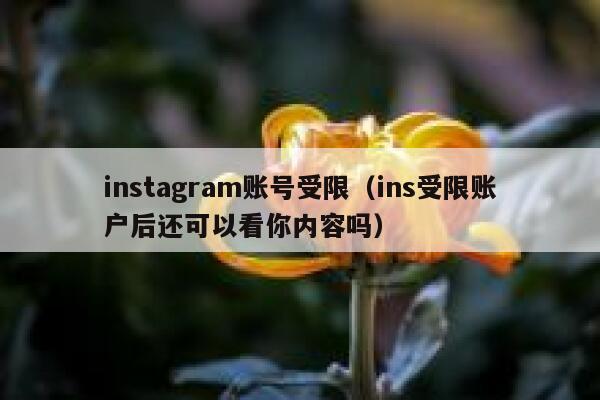 instagram账号受限(ins受限账户后还可以看你内容吗) 第1张 instagram账号受限(ins受限账户后还可以看你内容吗) 第1张