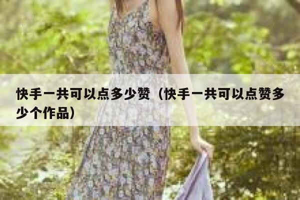 快手一共可以点多少赞（快手一共可以点赞多少个作品） 第1张