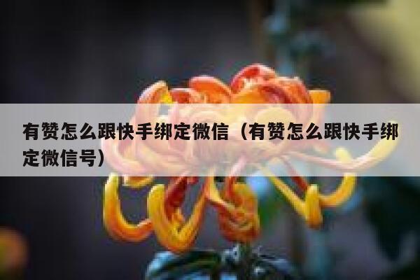 有赞怎么跟快手绑定微信（有赞怎么跟快手绑定微信号） 第1张