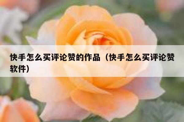 快手怎么买评论赞的作品(快手怎么买评论赞软件) 第1张 快手怎么买评论赞的作品(快手怎么买评论赞软件) 第1张