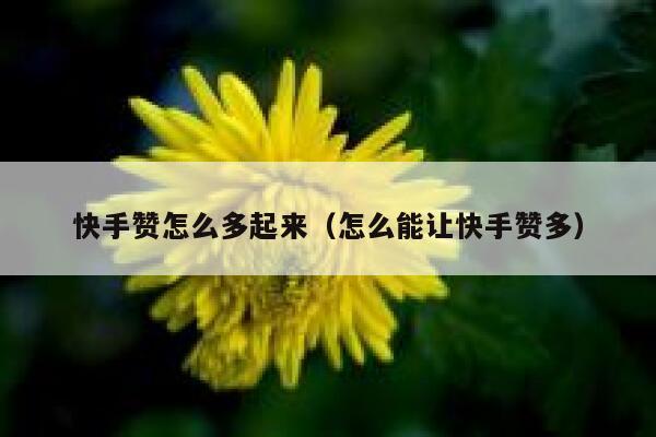 快手赞怎么多起来（怎么能让快手赞多） 第1张