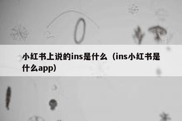 小红书上说的ins是什么（ins小红书是什么app） 第1张