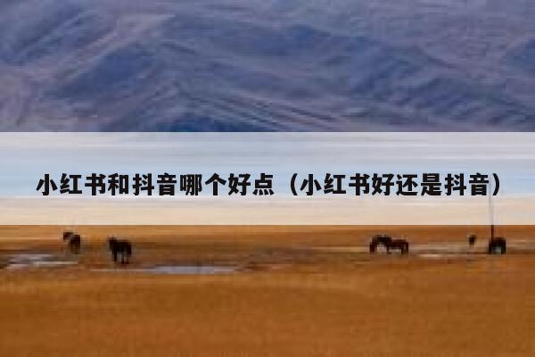 小红书和抖音哪个好点(小红书好还是抖音) 第1张 小红书和抖音哪个好点(小红书好还是抖音) 第1张