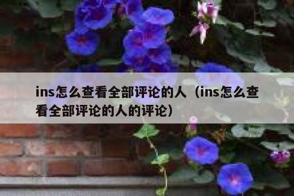 ins怎么查看全部评论的人(ins怎么查看全部评论的人的评论) 第1张 ins怎么查看全部评论的人(ins怎么查看全部评论的人的评论) 第1张