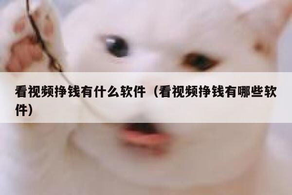 看视频挣钱有什么软件(看视频挣钱有哪些软件) 第1张 看视频挣钱有什么软件(看视频挣钱有哪些软件) 第1张