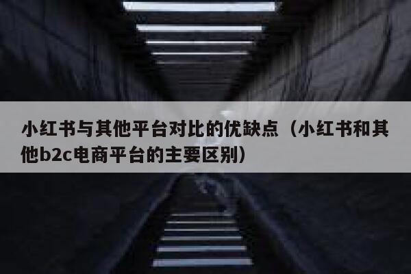 小红书与其他平台对比的优缺点(小红书和其他b2c电商平台的主要区别) 第1张 小红书与其他平台对比的优缺点(小红书和其他b2c电商平台的主要区别) 第1张