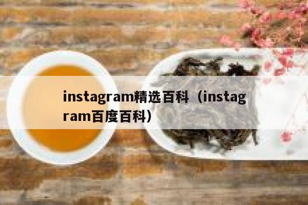 instagram精选百科（instagram百度百科） 第1张