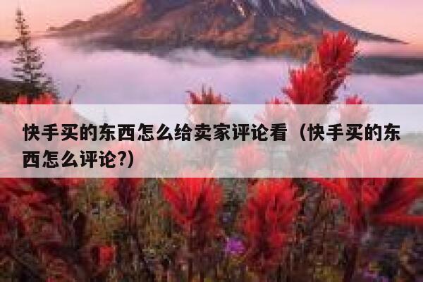 快手买的东西怎么给卖家评论看（快手买的东西怎么评论?） 第1张