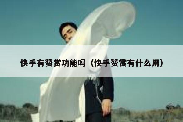 快手有赞赏功能吗（快手赞赏有什么用） 第1张