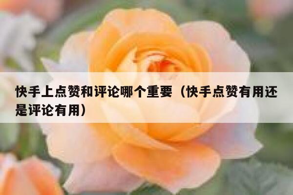 快手上点赞和评论哪个重要（快手点赞有用还是评论有用） 第1张