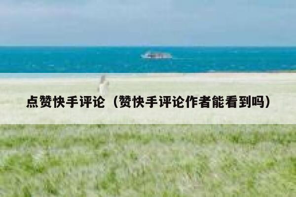 点赞快手评论（赞快手评论作者能看到吗） 第1张