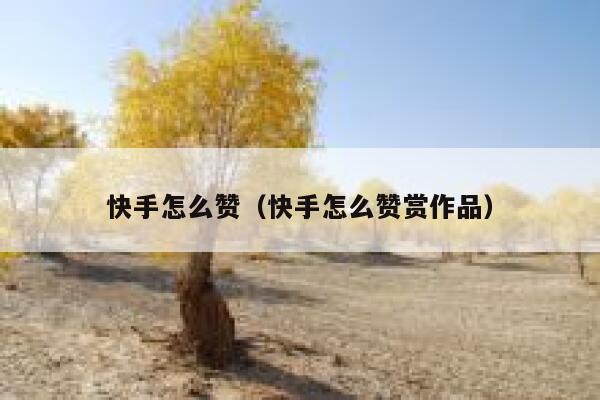 快手怎么赞（快手怎么赞赏作品） 第1张
