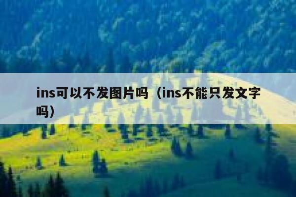 ins可以不发图片吗（ins不能只发文字吗） 第1张