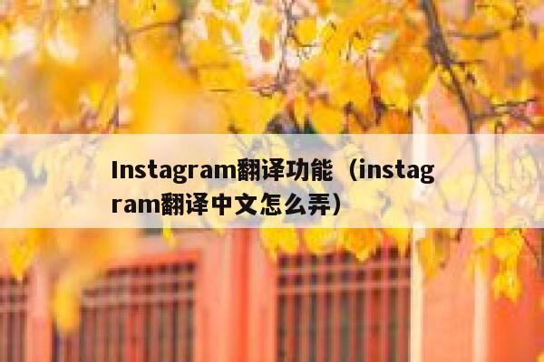 Instagram翻译功能（instagram翻译中文怎么弄） 第1张