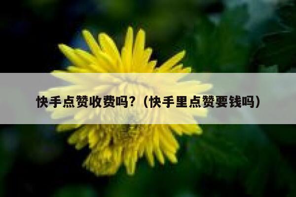 快手点赞收费吗?(快手里点赞要钱吗) 第1张 快手点赞收费吗?(快手里点赞要钱吗) 第1张