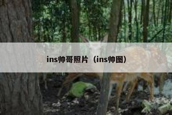ins帅哥照片（ins帅图） 第1张