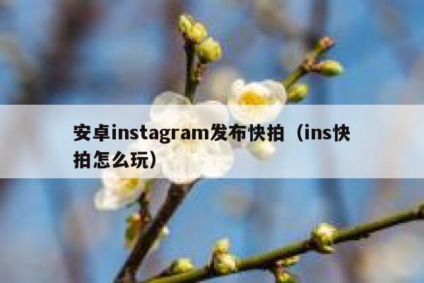 安卓instagram发布快拍（ins快拍怎么玩） 第1张