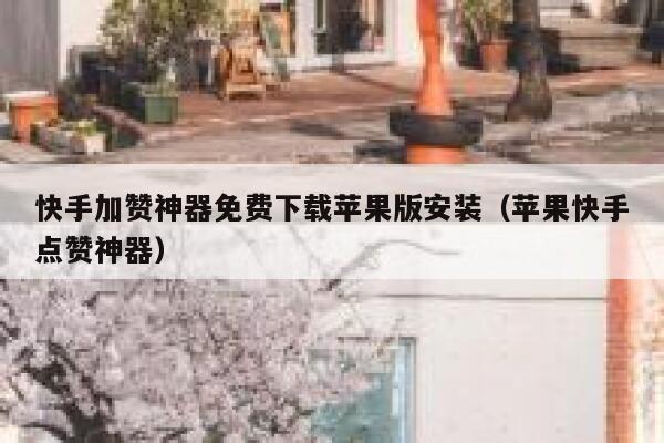 快手加赞神器免费下载苹果版安装（苹果快手点赞神器） 第1张