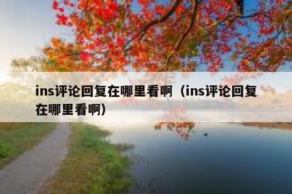 ins评论回复在哪里看啊（ins评论回复在哪里看啊） 第1张