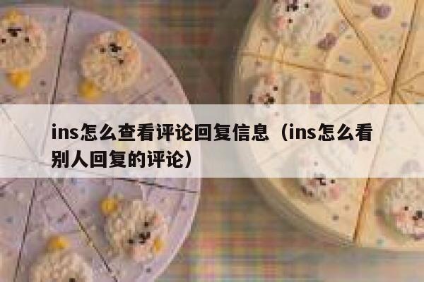 ins怎么查看评论回复信息（ins怎么看别人回复的评论） 第1张