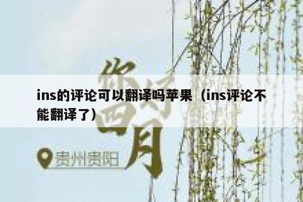 ins的评论可以翻译吗苹果(ins评论不能翻译了) 第1张 ins的评论可以翻译吗苹果(ins评论不能翻译了) 第1张