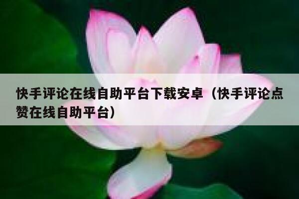 快手评论在线自助平台下载安卓（快手评论点赞在线自助平台） 第1张